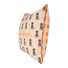 Load image into Gallery viewer, Smokey Tennessee Gingham Pillow