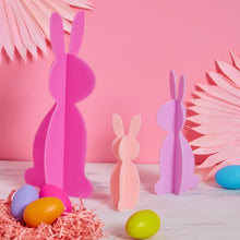 Load image into Gallery viewer, Kailo Chic Acrylic Bunnies set of 3 Pinks