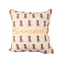 Load image into Gallery viewer, Smokey Tennessee Gingham Pillow