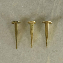 Load image into Gallery viewer, Brass Plated Forged Iron Nail - set of 3